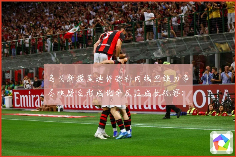 乌戈新援莱迪将弥补内线空缺力争尽快磨合形成化学反应成长观察：最新赛事动态与深度分析